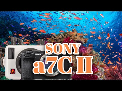 Sony Alpha a7C II, a7CR - Ikelite 200DLM/A Housing - 69124