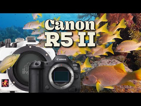 Canon EOS R5 II - Ikelite 200DL Housing - 71765